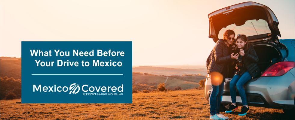 Drive To Mexico