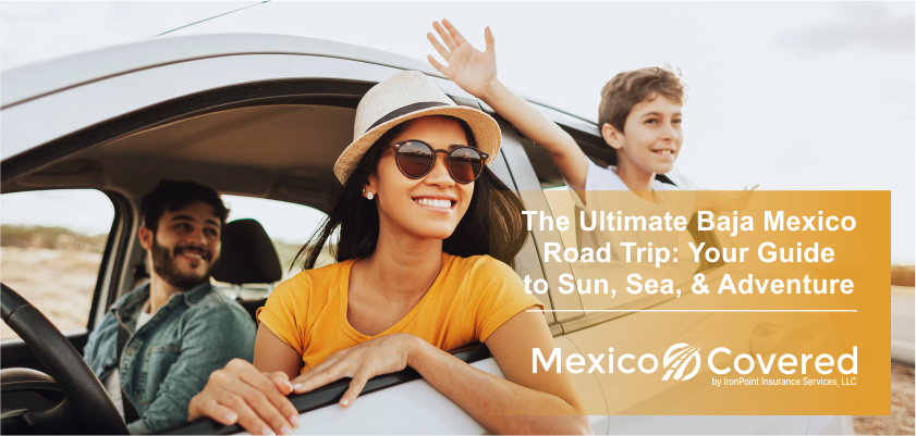 Ultimate Baja Road Trip